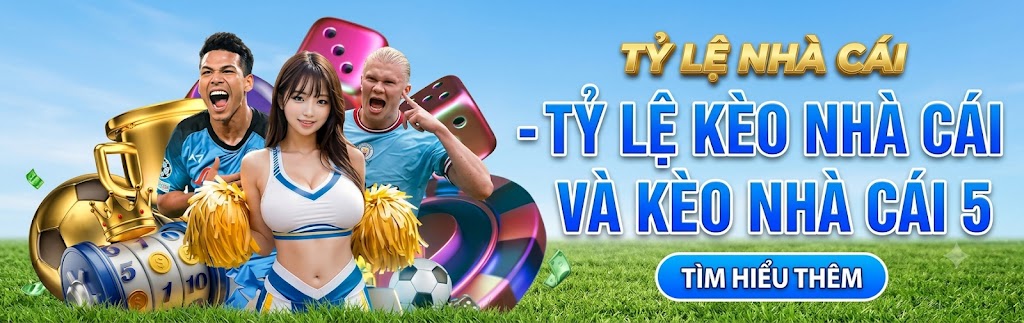banner tylenhacai